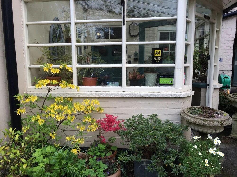 Orchard Club - Newton House