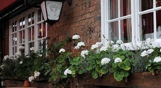 The Bull On The Green