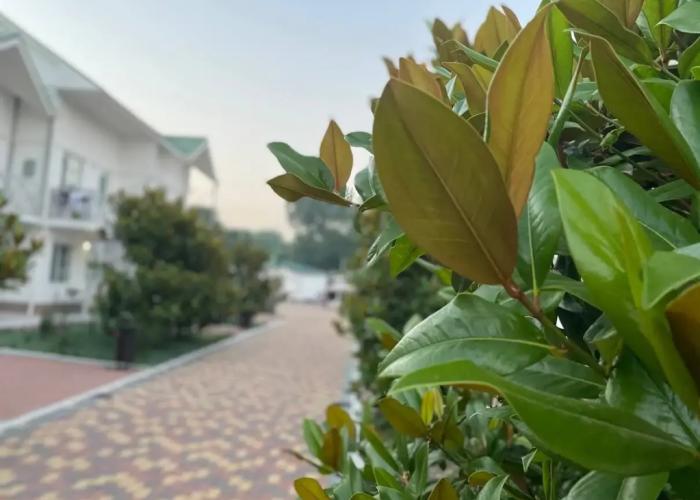 Dyunyi Zolotyie Hotel