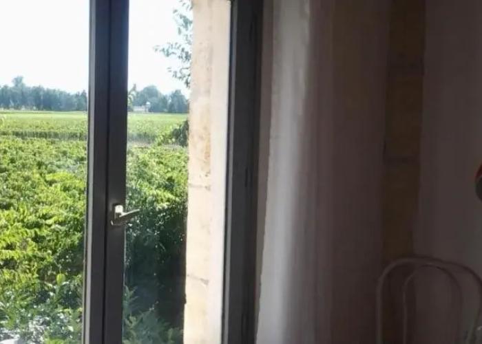 Au Vélo dans l'Arbre