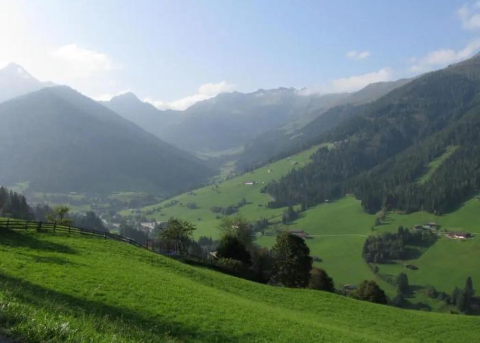Alpbach Bergwald