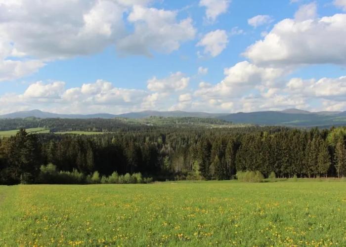 Einkehr zur Kleblmühle