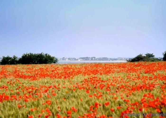 Hôtel ibis Abbeville