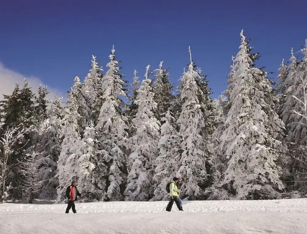 фото Nature Titisee