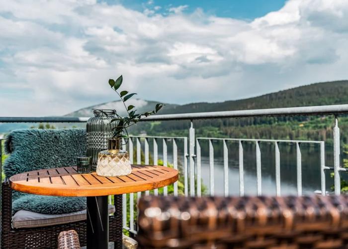 Nature Titisee