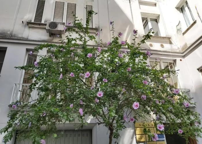 Vittoria Guest House - Salerno