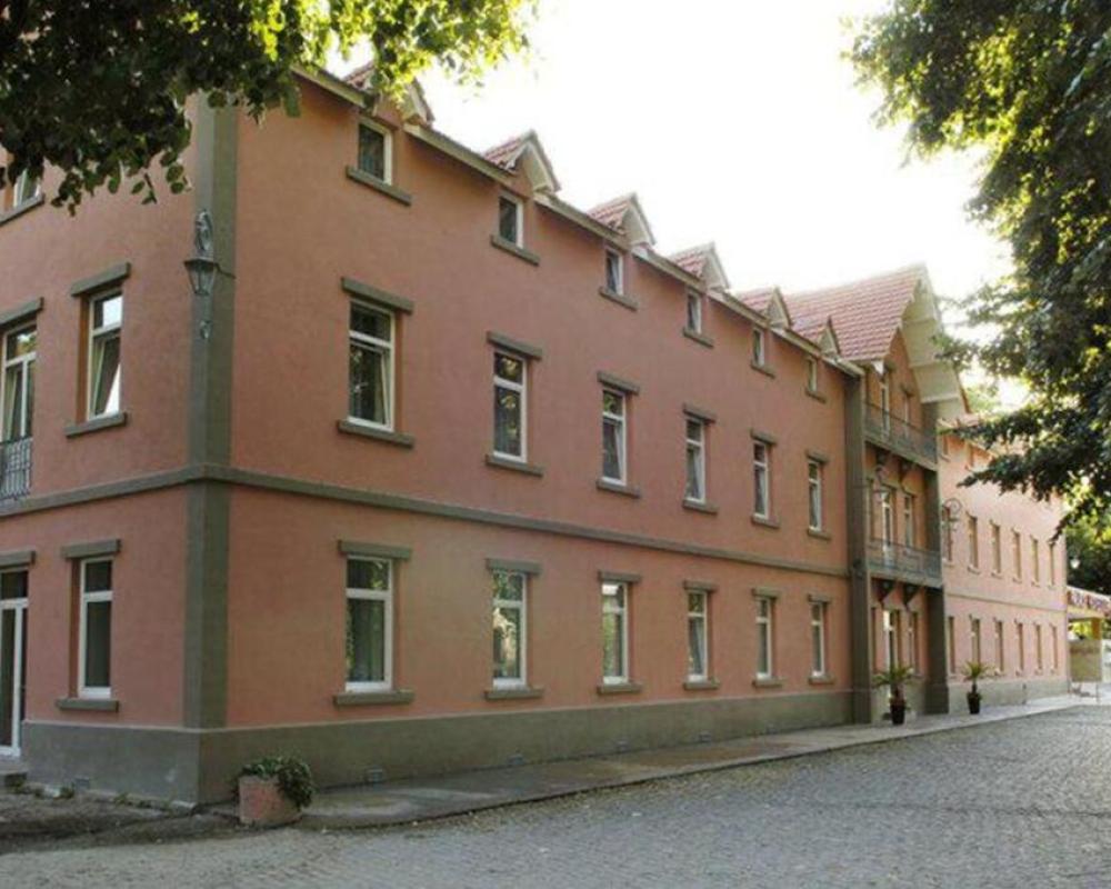 Palace Hotel & Spa Termas de São Vicente