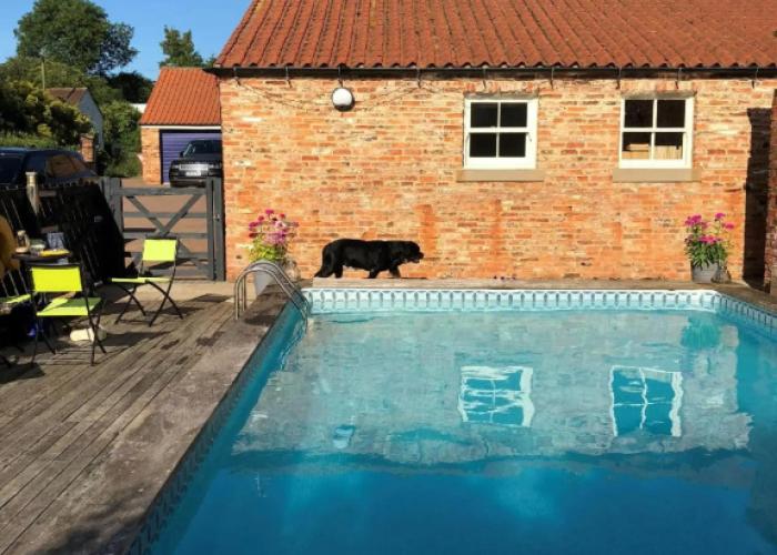 Newsham Grange Farm Bed and Breakfast