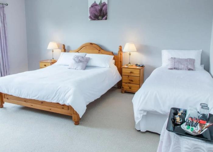 Newsham Grange Farm Bed and Breakfast