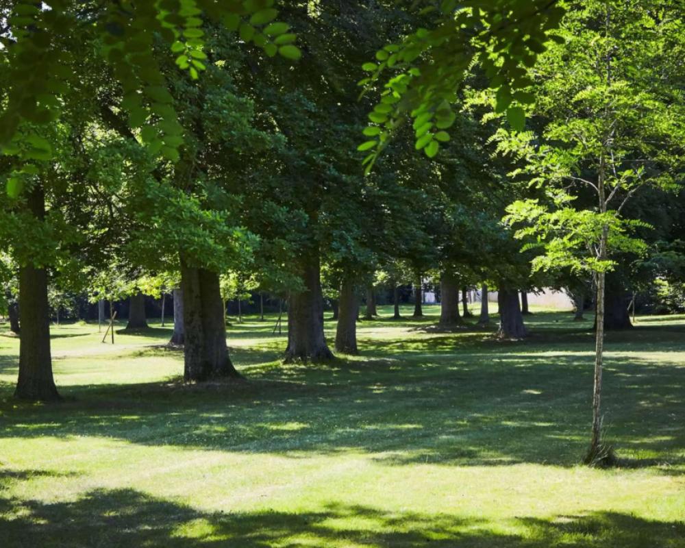 фото Campanile Compiegne