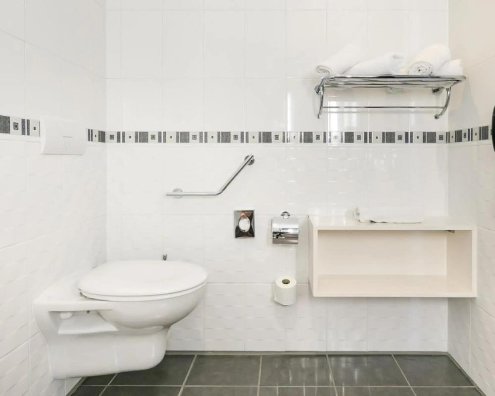 фото Holiday Inn Strasbourg - Illkirch