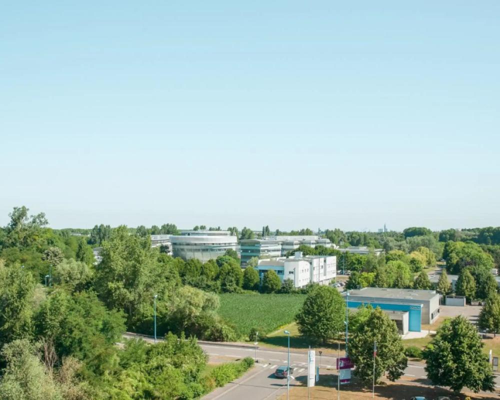 фото Holiday Inn Strasbourg - Illkirch