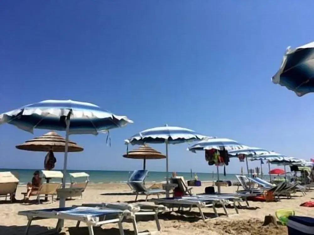 фото Hotel Settibi