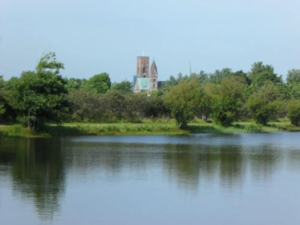 фото Storkesøen Ribe