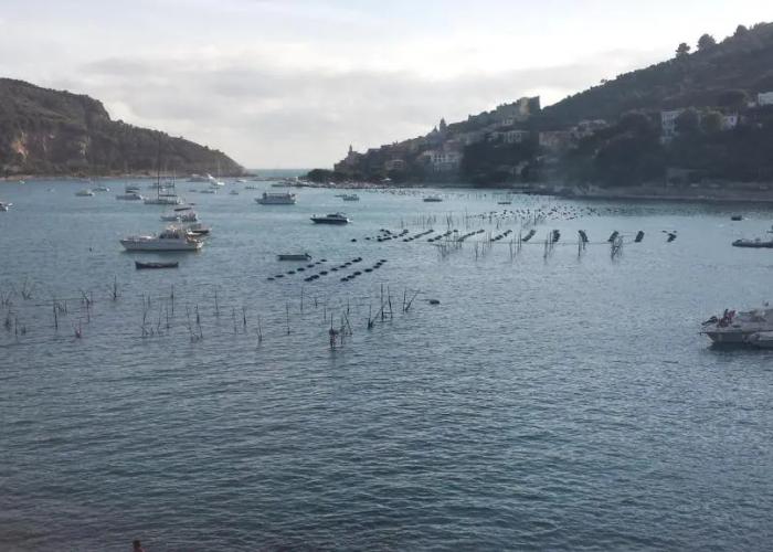 Le Terrazze di Portovenere