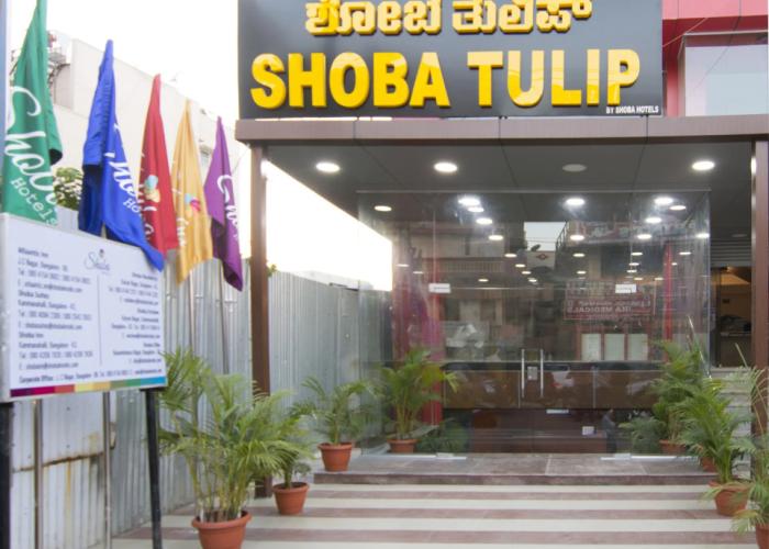 Shoba Tulip