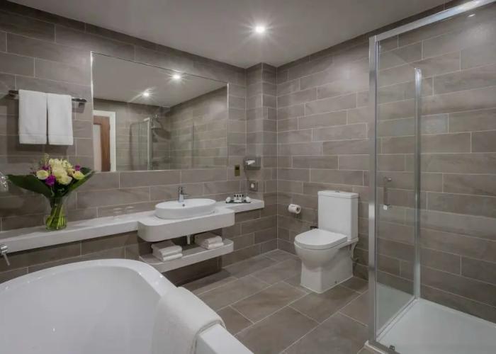 Castletroy Park Hotel Suites