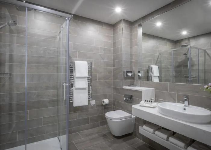 Castletroy Park Hotel Suites