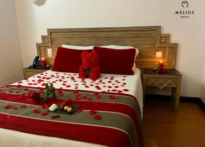 Hotel Melius