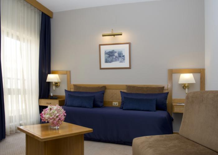 Hotel Rainha D. Amelia, Arts & Leisure