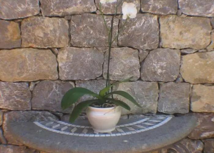 Villa Schuler Garden Suite