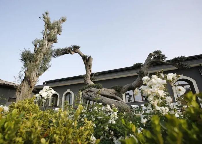 Guest House Terra di Venera