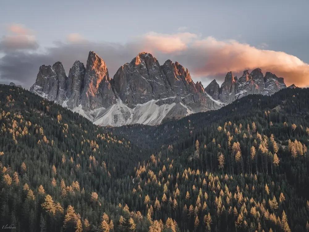 фото Forestis Dolomites Hotel