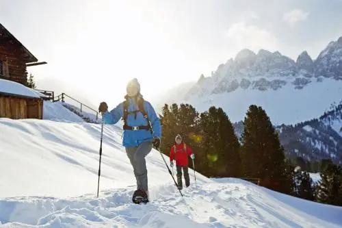 фото Forestis Dolomites Hotel