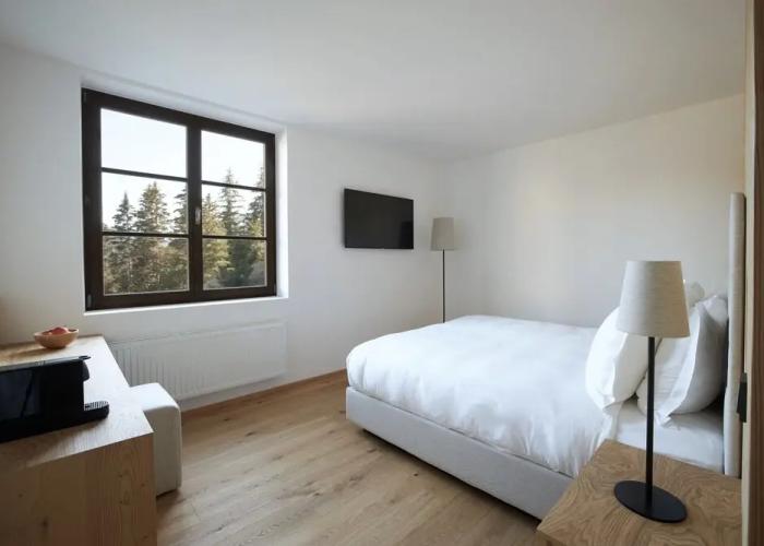 Forestis Dolomites Hotel