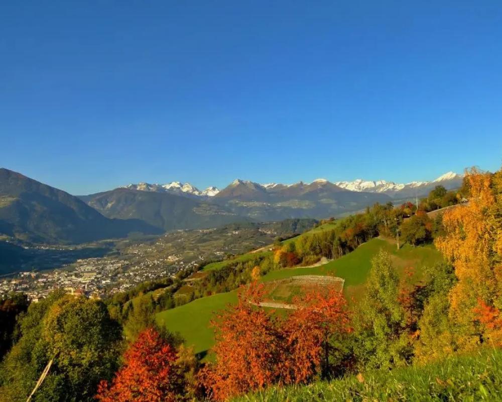 фото Summererhof