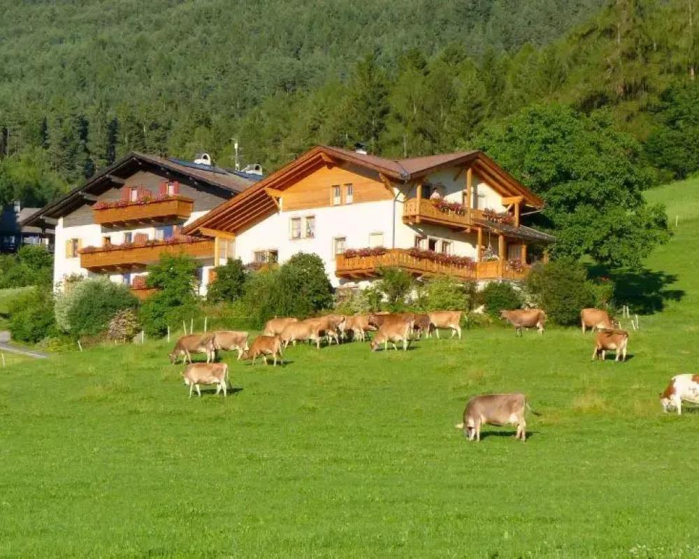 фото Summererhof