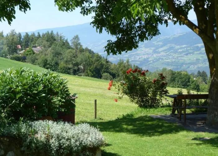 Hotel Summererhof