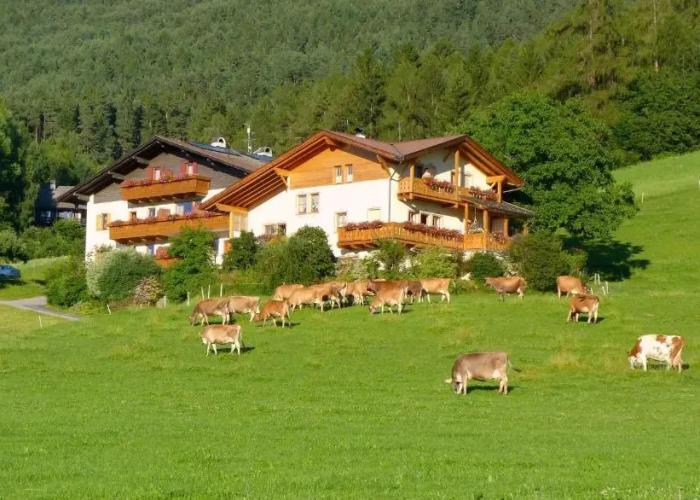 Hotel Summererhof