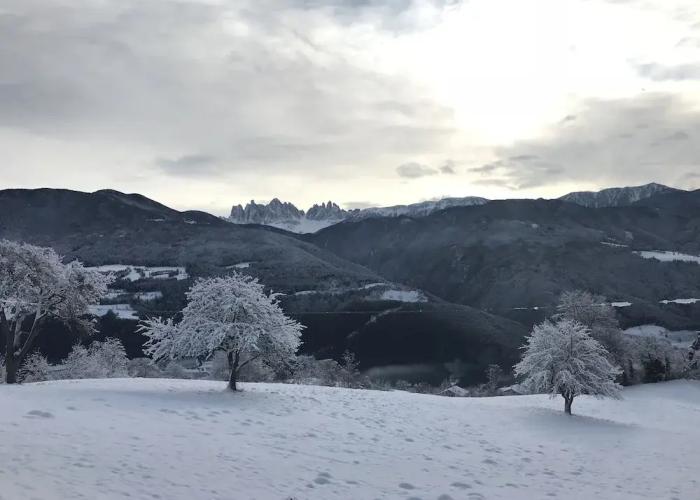 Agriturismo Gfaderhof Ferienwohnungen