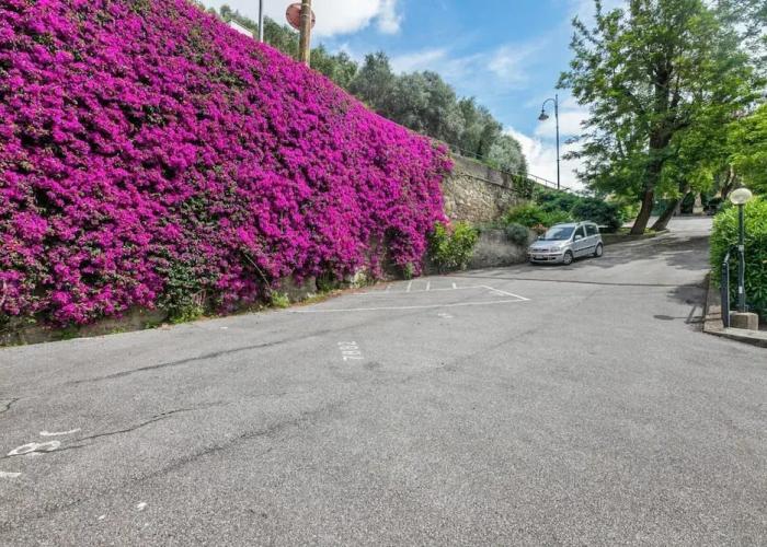 Camogli Bright Apartment with Parking