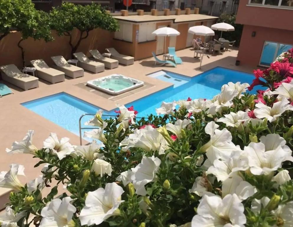 фото Hotel Monte Rosa