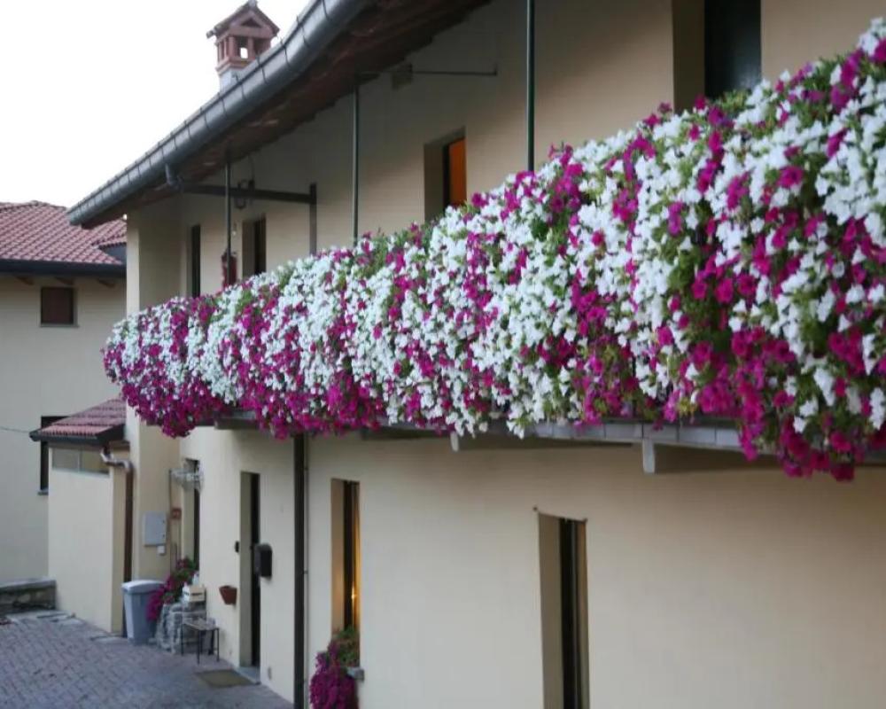 фото Locanda dellOca Bianca
