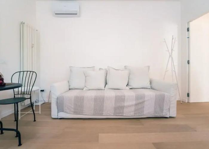 Alex Suite