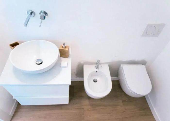 Alex Suite