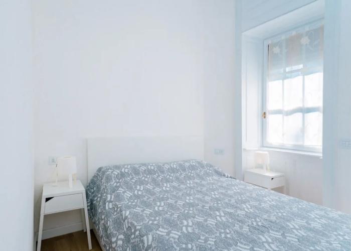Alex Suite