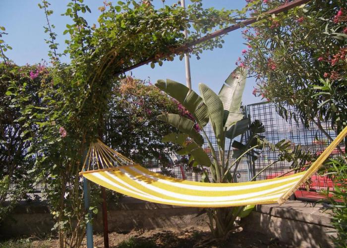BNB Oasis