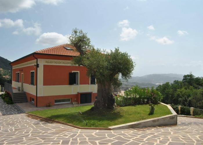 Hotel Olivium