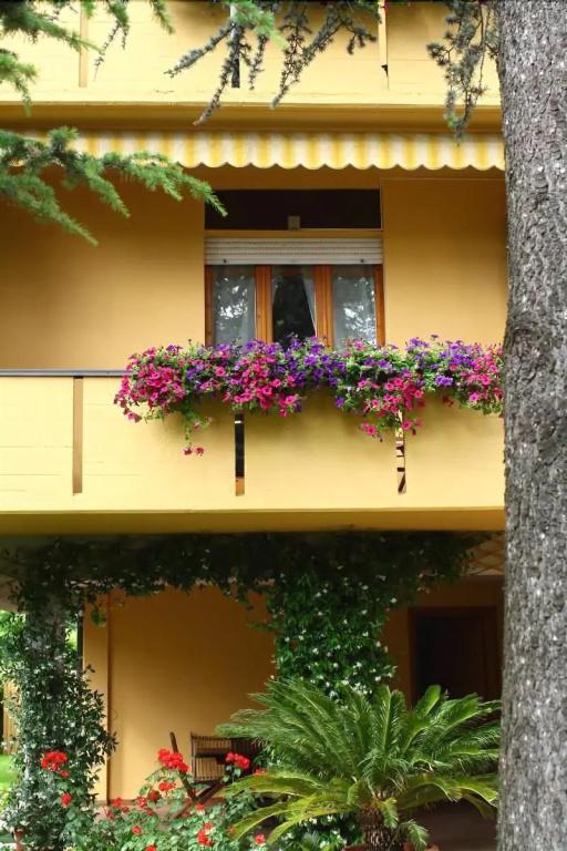 фото B&B Igea 50