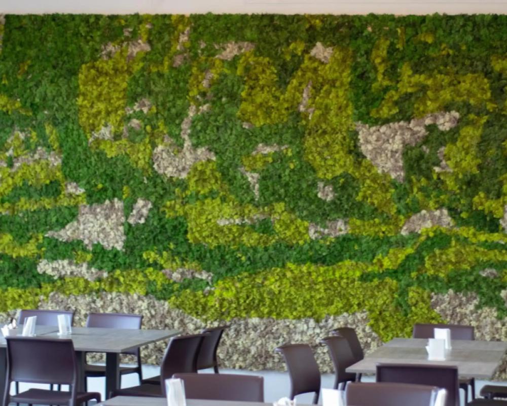 фото Hotel Tiby