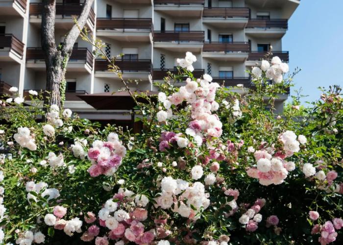 Hotel Michelangelo & Day SPA