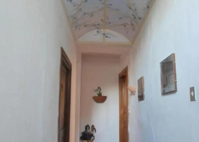 La Magnolia