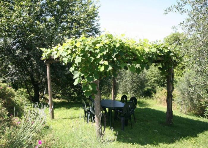 Podere il Pino