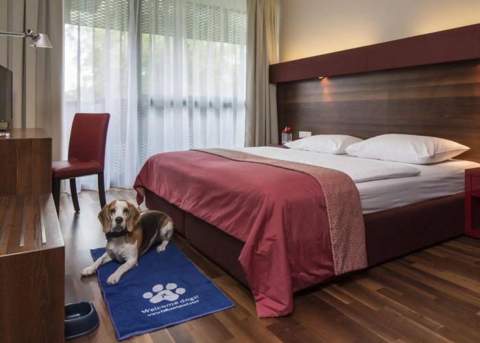 Hotel & Asia Spa Leoben