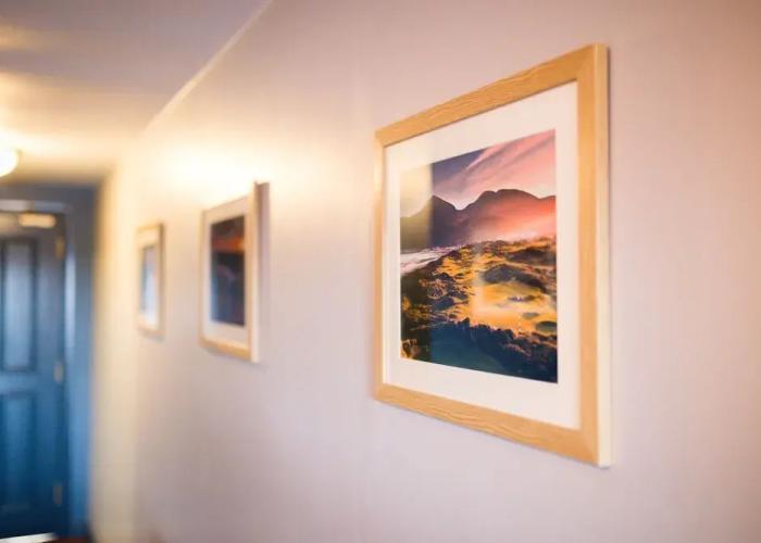 The Donard