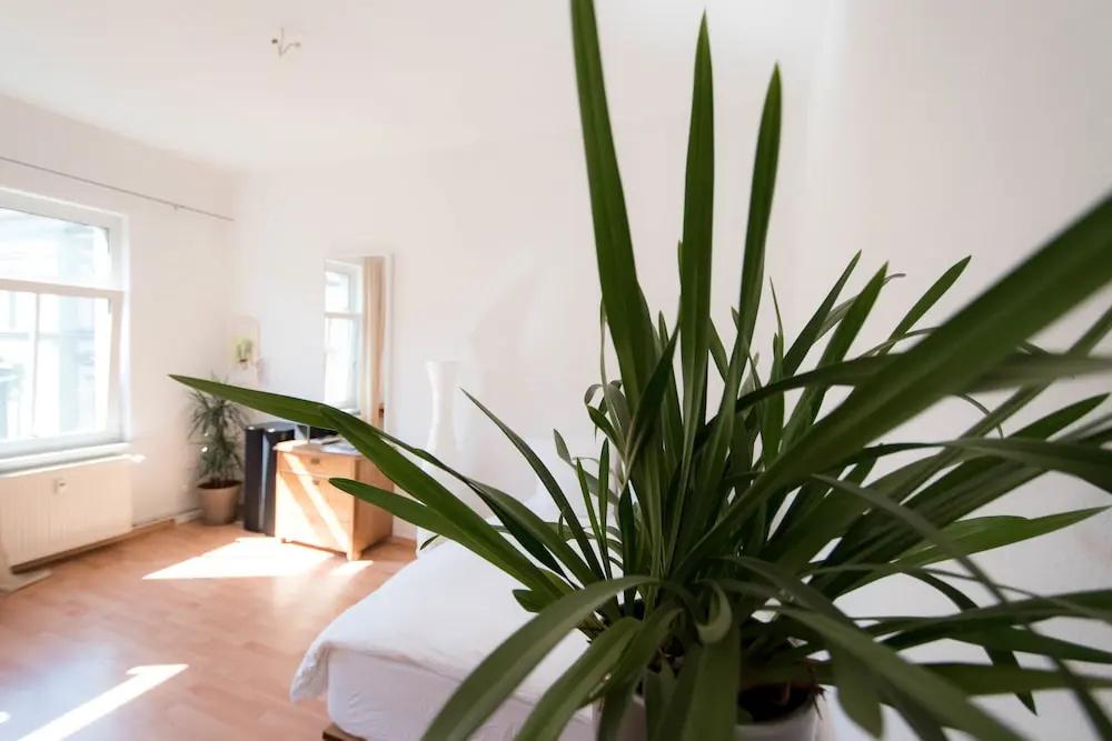 фото Peters Wohnung
